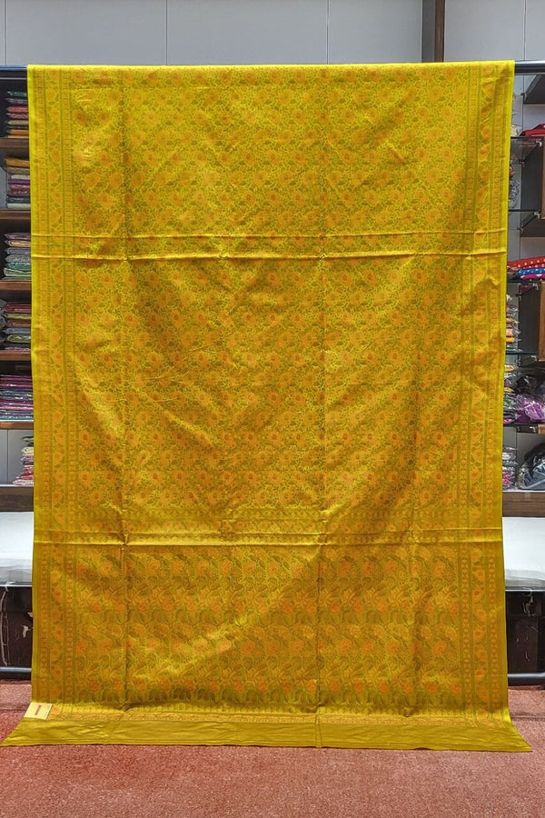 Borderless Kashmiri Silk Saree Handwoven