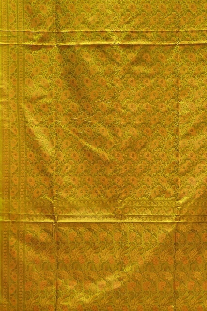 Borderless Kashmiri Silk Saree